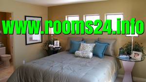 Looking for a housemate to live with me.