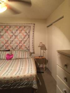 SXSW House share (ROUND ROCK) $700 1520ft 2