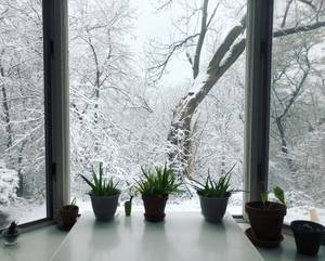 Young professional roommate seeking the same on East Side