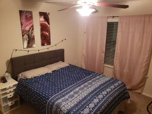 1 Female Roommate for Spacious Two BR/Two BA Apartment (Dallas, TX) $675 1050ft 