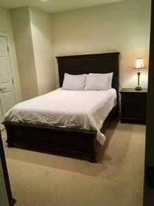 looking for a roommate a male or female roommate (1600 Brookwood Drive)