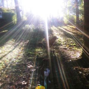 Room for Rent Peaceful Country Living (Lebanon) $350 1bd