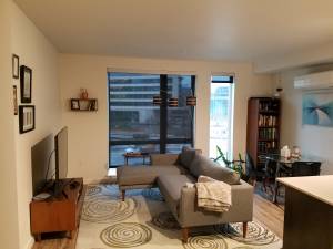 Luxurious modern 1 BR 1 BA in the heart of Downtown SLU (South Lake