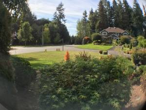 Live in a Mansion......Gorgeous Residential Neighborhood. quiet area.