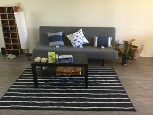 living room is available for a female roommate in a 2B2B apartment (north