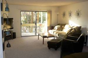 SPACIOUS HANCOCK PARK APARTMENT. TO SHARE... (Hancock Park) $1400 1bd