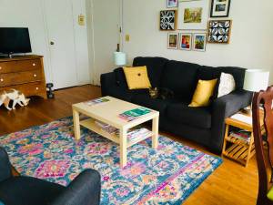 Cat-friendly One BR in Sunny Two BR available - Hill Section/South End (South Wi