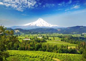 Housemate(s) Wanted (Hood River, Mosier, Bingen, White Salmon) 1200ft 2