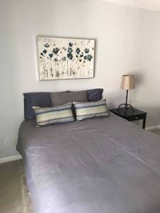 Roommate for Bellevue Two BR / Two BA condo (North Bellevue)