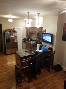 Roommate needed Two BR One BA (Harrison West) $600 700ft 2