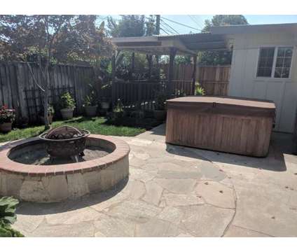 Private bedroom and shared bath in San Jose home - pet friendly