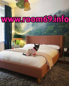 Room for rent , WIFI, Furnished Room $320 660ft 2