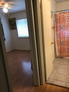 Room for rent (South Austin)