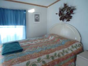 room for rent in cheektowaga (Calla Pointe)