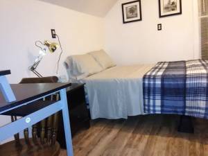 Comfy Room for Rent in furnished Apartment w/ other traveling professionals