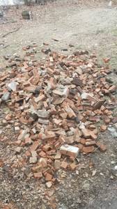 FREE RED BRICKS***** (Brockton)