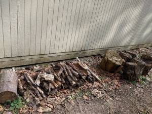 Free Firewood (Bothell/Canyon Park)