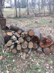 FREE firewood