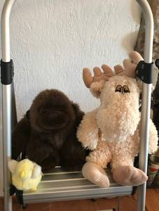 Free Curb Side - Stuffed Animals (Wichita)