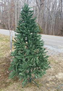 Free Christmas Tree (24538)