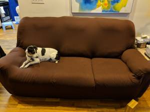 Free reclining couch with cover (My Lebanon)