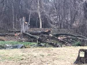 Free firewood (Chesapeake,ohio)