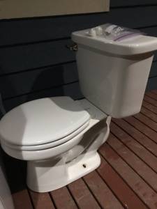 Free toilet (Carnation)