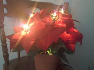 Christmas light (Millard)