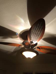 Ceiling fan with light (Round Rock)