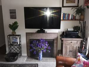 moving sale-every thing must go ! (federal way)