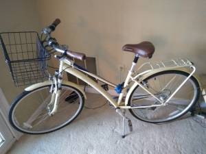 Moving Sale, bike, furnitures, microwave, oven etc. (Natick Green Condo)