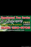 Long Beach Tree Removal quot;landscaping